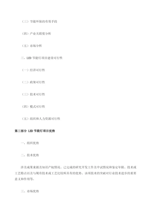 LED节能灯项目资金申请报告编制大纲.docx