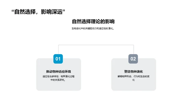 探索生物进化之旅