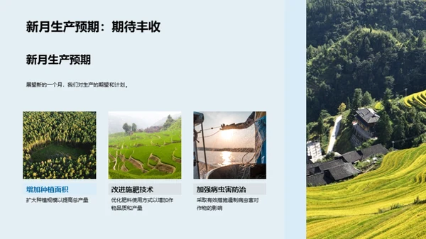 农场生产回顾与展望