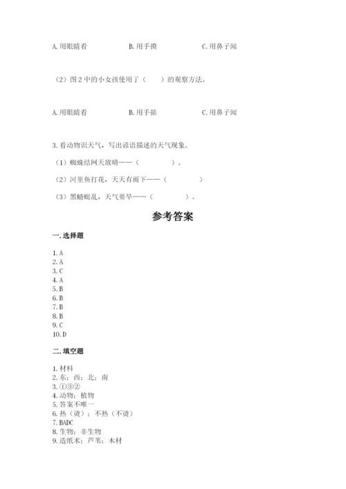 教科版二年级上册科学期末测试卷（名校卷）.docx