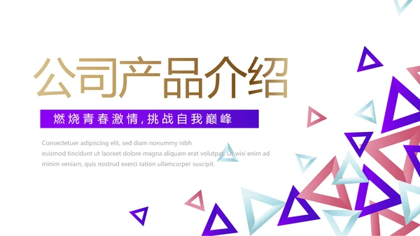创意几何三角形大气公司产品介绍宣传通用PPT