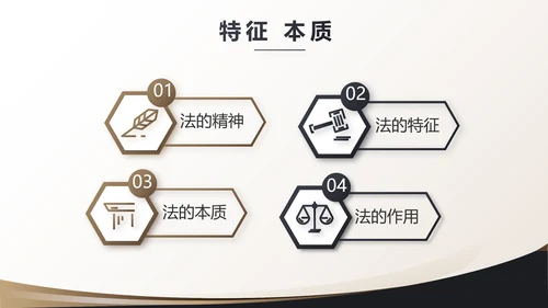 治法宪法政府法律年终工作总结汇报动态PPT