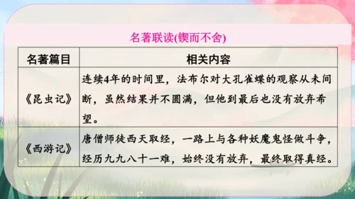 15《白杨礼赞》课件