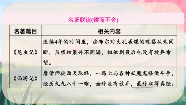15《白杨礼赞》课件