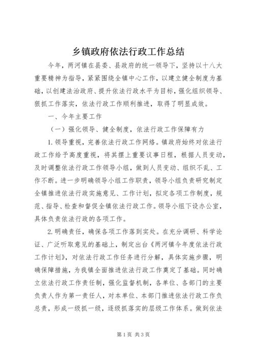 乡镇政府依法行政工作总结.docx