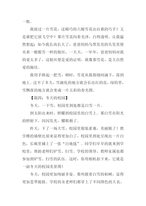 写冬景的作文500字.docx