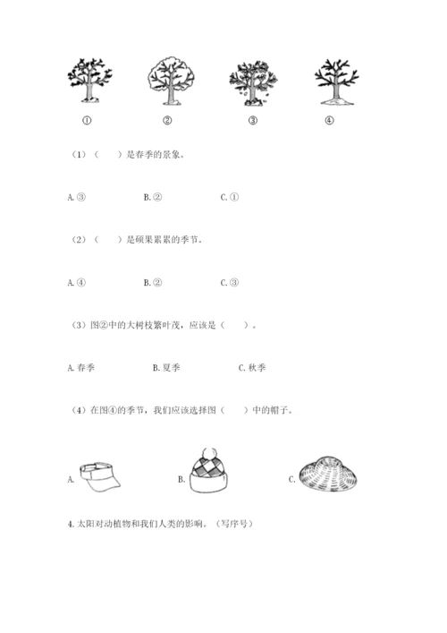 教科版科学二年级上册期末考试试卷（考点梳理）.docx