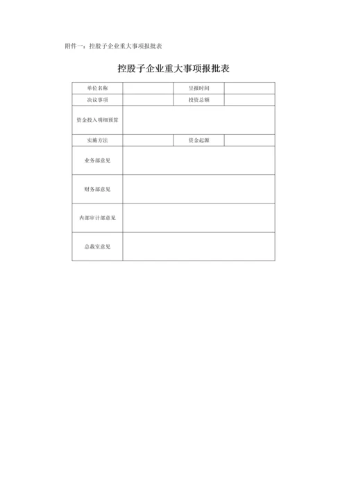 对控股子公司管理新规制度.docx