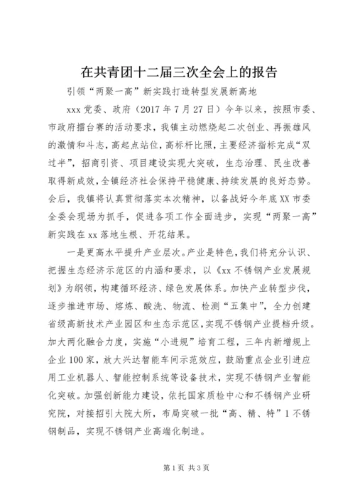 在共青团十二届三次全会上的报告 (2).docx