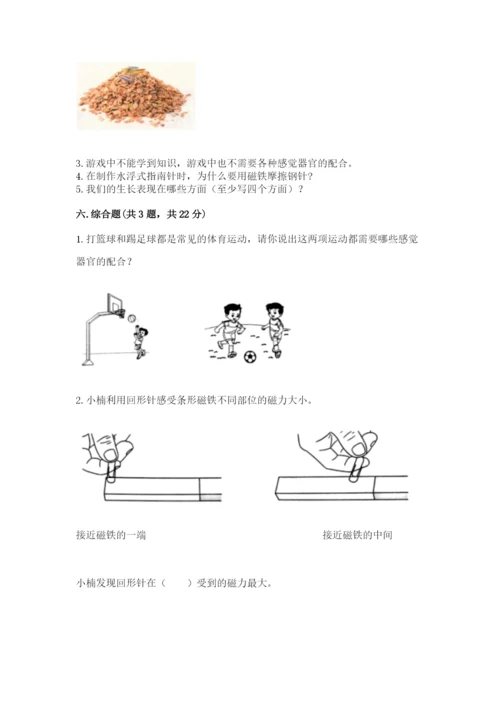 教科版小学科学二年级下册期末测试卷标准卷.docx