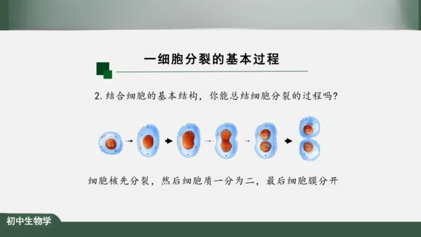 2.2.1 细胞通过分裂产生新细胞 课件（共22张PPT）