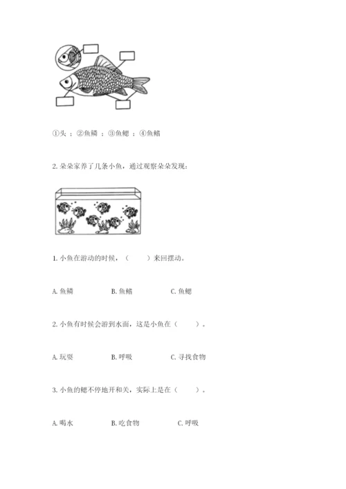 教科版一年级下册科学期末测试卷（历年真题）word版.docx