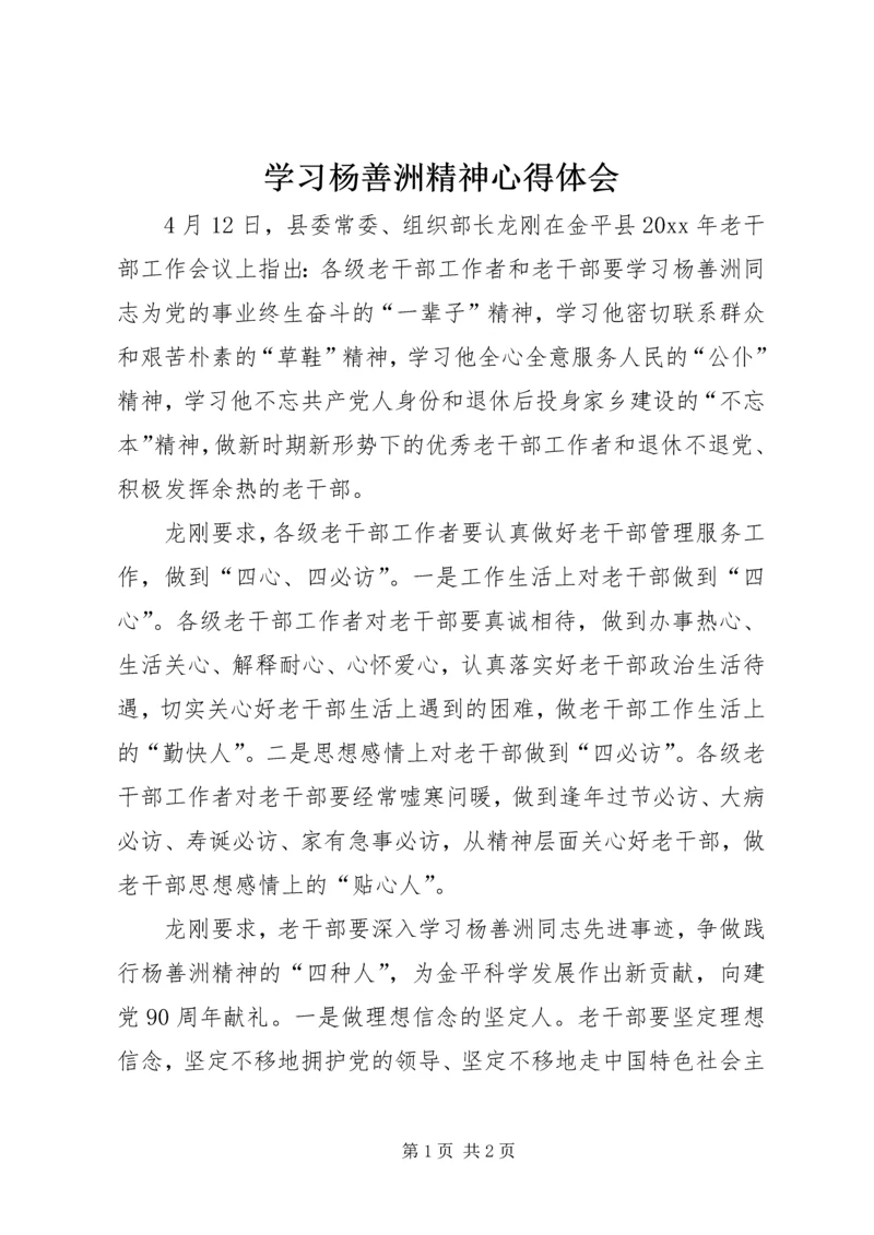 学习杨善洲精神心得体会 (4).docx