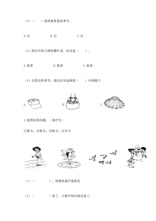 教科版科学二年级上册《期末测试卷》（典型题）.docx