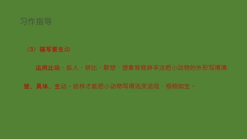 国宝大熊猫语文课教学课件通用PPT模板