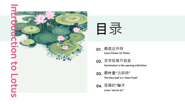 绿色简约插画中国风荷花科普介绍PPT模板