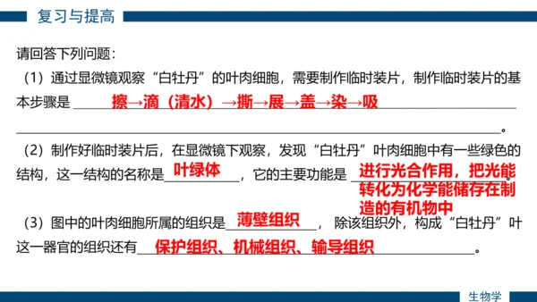 综合实践项目单元小结-【备课优选】七年级生物上学期同步精品课件（2024人教版）(共19张PPT)