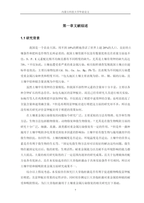 张圆圆论文0.docx