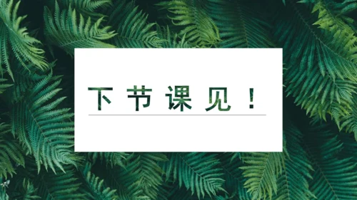 课外古诗词诵读 如梦令（常记溪亭日暮）课件