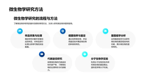 微生物学实用教程PPT模板