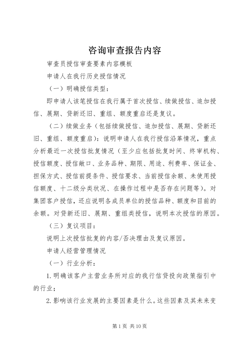 咨询审查报告内容 (3).docx