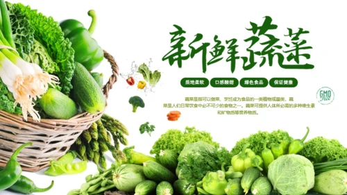 绿色有机新鲜蔬菜宣传策划通用PPT模板