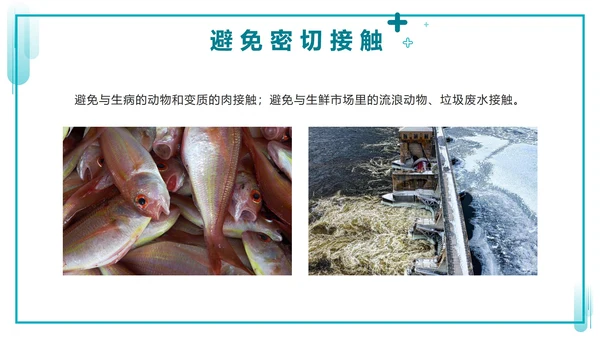 绿色实景简约防疫知识教育手册PPT模板