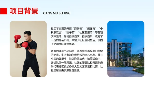 红白色政务风企业工作汇报