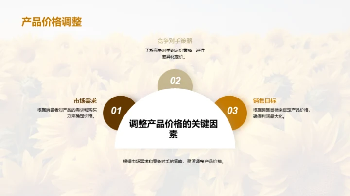 夏至营销战略解析