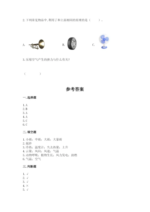 教科版小学三年级上册科学期末测试卷（考点梳理）.docx