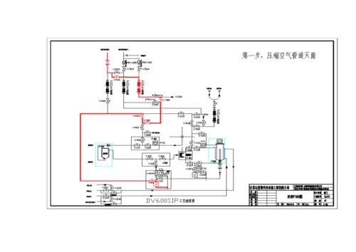 CIPSIP标准工艺标准流程操作专项说明书.docx