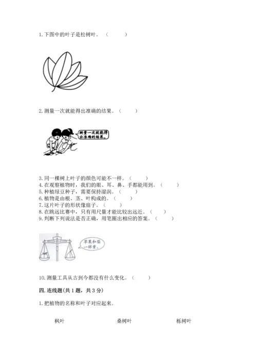 教科版一年级上册科学期末测试卷审定版.docx