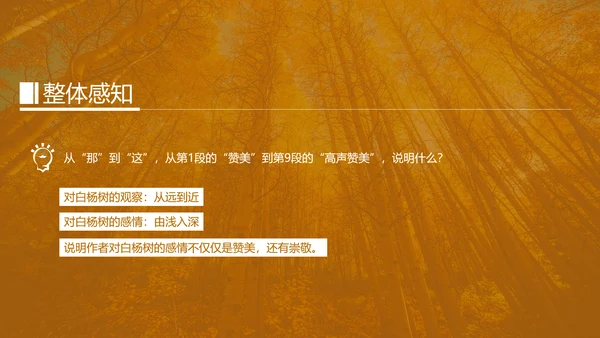 初中语文茅盾《白杨礼赞》PPT教学课件