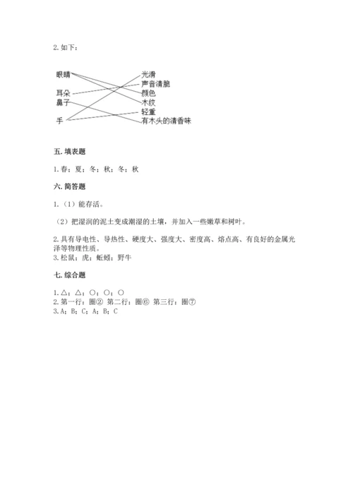 教科版二年级上册科学期末测试卷精品【巩固】.docx