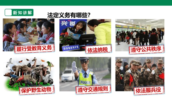 【大单元整体教学】依法履行义务课件