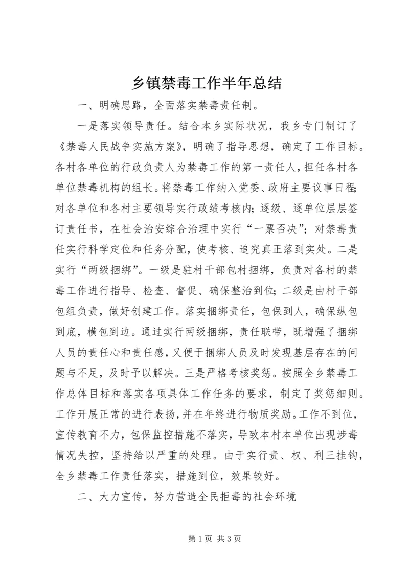 乡镇禁毒工作半年总结.docx