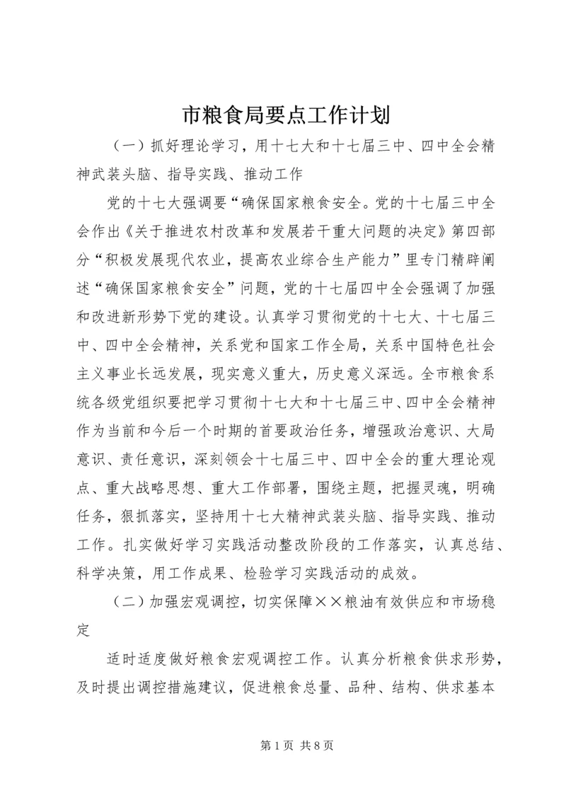 市粮食局要点工作计划.docx