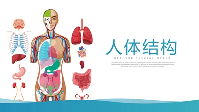 医疗医学人体结构动态PPT
