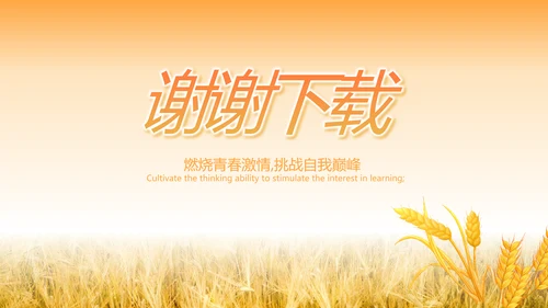 中国梦乡村振兴工作总结计划动态PPT模板