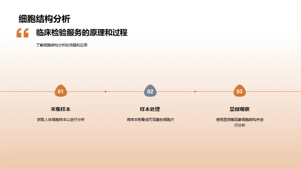 解密临床检验师之路