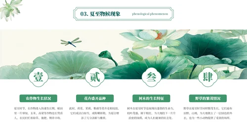 绿色简约二十四节气之夏至PPT模板