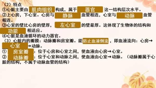 第四单元第四章人体内物质的运输 复习课件(共23张PPT)人教版七年级下册