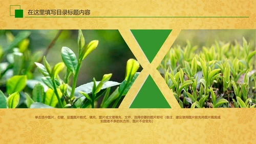 中国茶文化茶道展示茶知识PPT模板