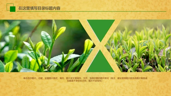 中国茶文化茶道展示茶知识PPT模板