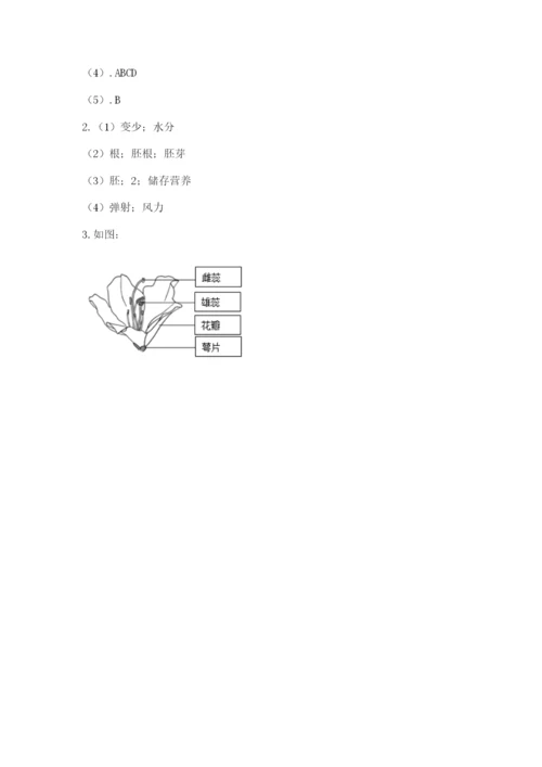 教科版科学四年级下册第一单元《植物的生长变化》测试卷（考试直接用）.docx