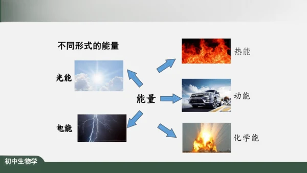 2.1.4  细胞的生活 课件（共26张PPT）