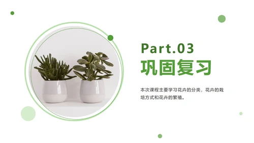 绿色清新教学课件ppt模板