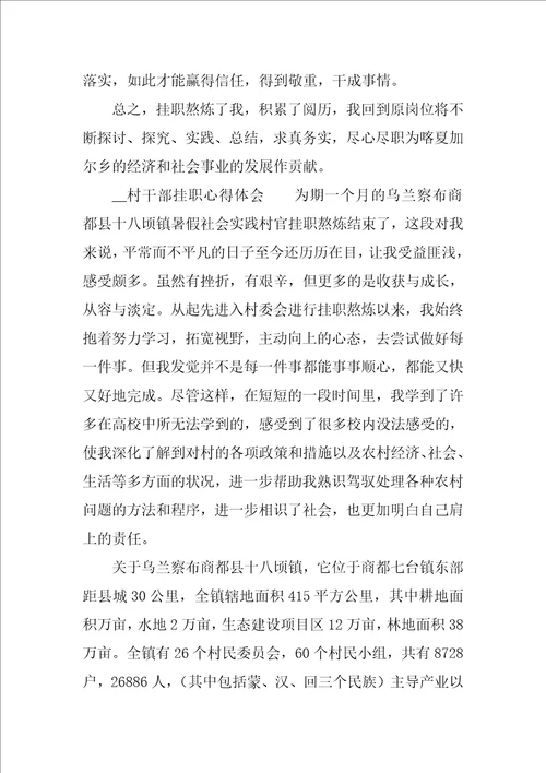 农村个人挂职工作总结优秀9篇