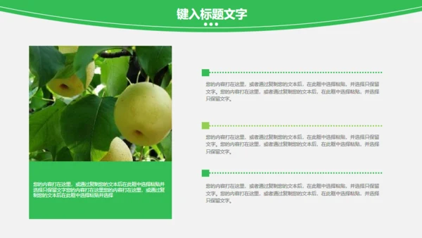 蔬菜果蔬农业绿色有机蔬菜通用PPT模板