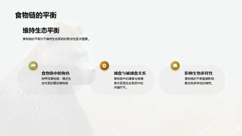 简约风其他行业教学课件PPT模板